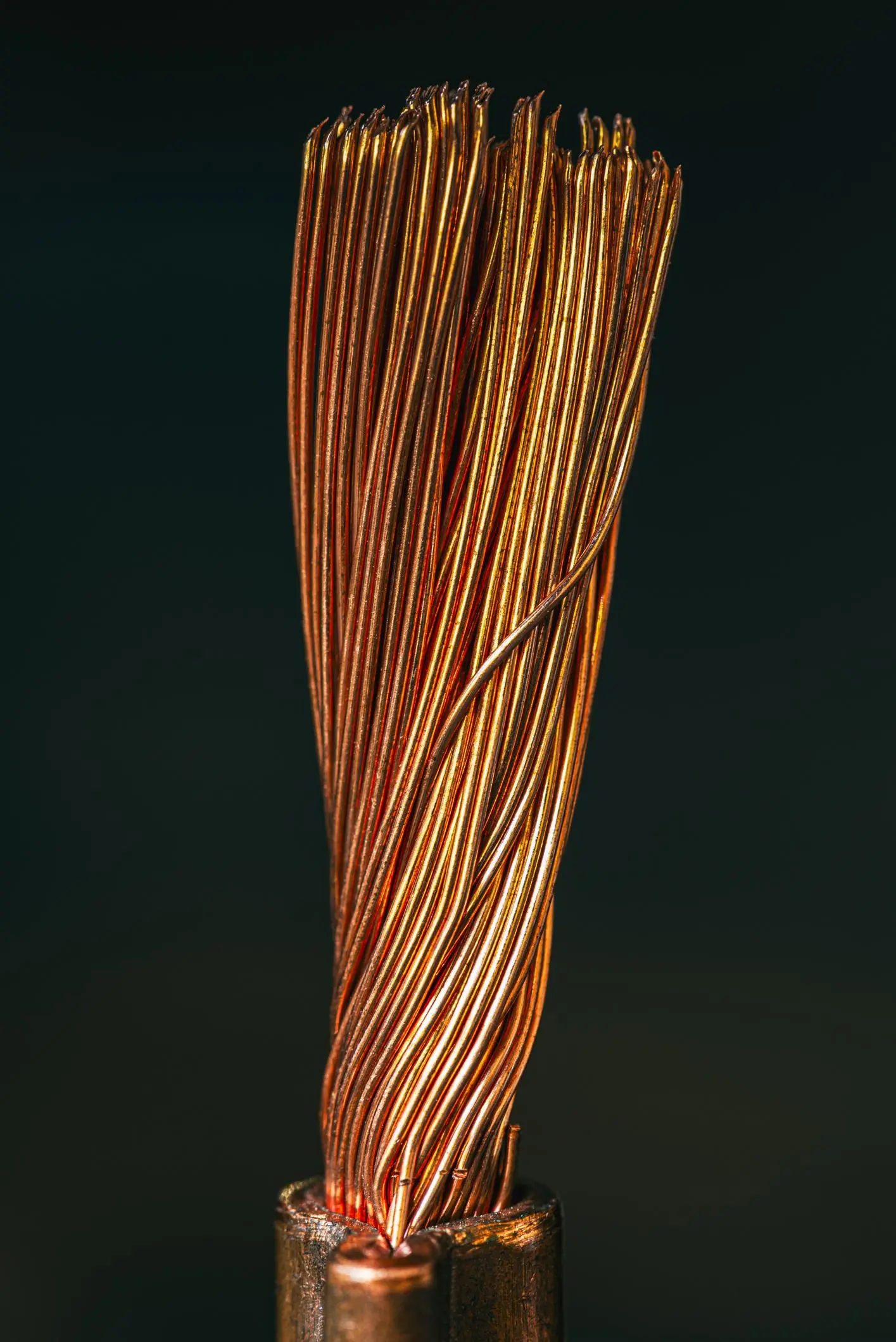 Ekibimiz Tutkulu Bireylerden Oluşuyor